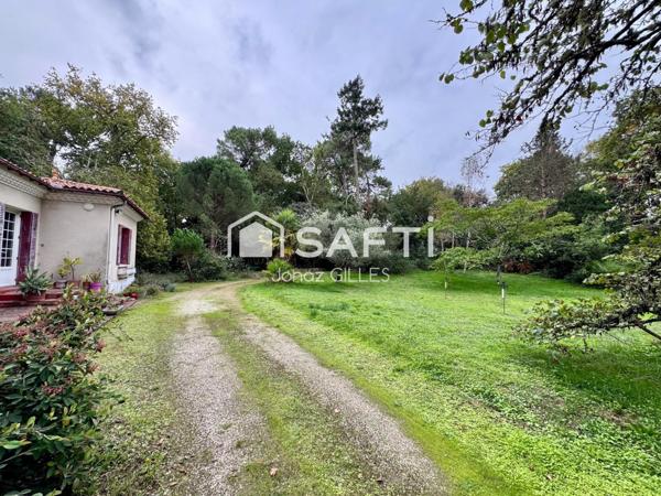 Maison dans un parc forestier