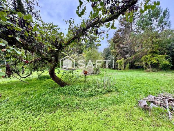 Maison dans un parc forestier