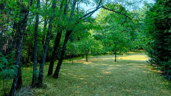 A vendre Maison Auch 237,66m2 avec 1 hectare de terrain arboré
