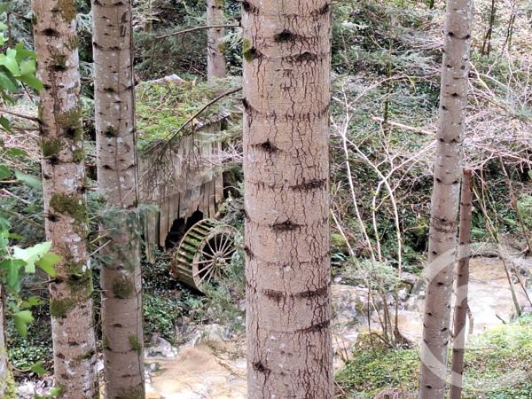 Maison à vendre  4 pièces - 200 m2 BELESTA - 09