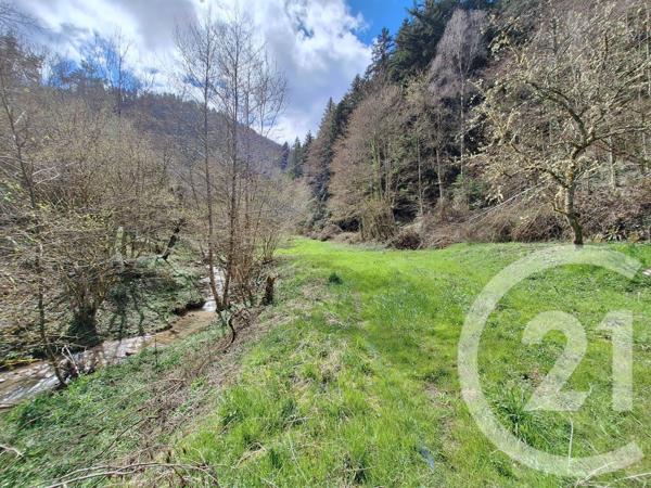 Maison à vendre  4 pièces - 200 m2 BELESTA - 09