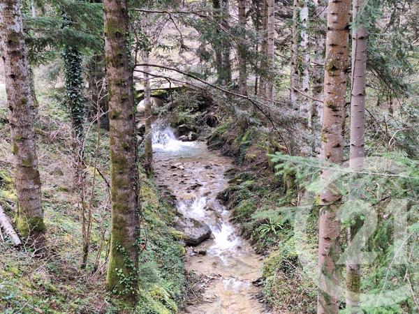 Maison à vendre  4 pièces - 200 m2 BELESTA - 09