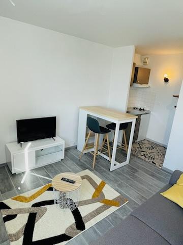 Pau (64000) STUDIO MEUBLÉ RÉNOVÉ et LOUÉ avec vue Pyrénées