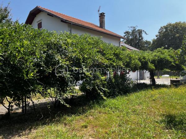 MAISON IDEALE POUR FAMILLE NOMBREUSE avec des prestations de qualité offrant jusqu'à 8 chambres.

Authentique maison bourgeoise landaise de la fin de XIX ème siècle,  entièrement rénovée avec des matériaux de qualité, offrant de très belles prestations et une modularité rare, pour une grande famille, une activité de location, une profession libérale ou un projet intergénerationnel.

Selon vos besoins, cette propriété peut être configurée de 3 façons:
Une maison de 7 chambres avec un appartement T2 indépendant
Une maison de 6 chambres avec un appartement T3 indépendant
ou une grande maison familiale de 8 chambres.
Des combles de 73 m² peuvent encore être utilisés pour plus d'espace.

Cette élégente maison bourgeoise offre un plan à couloir central. 
Un vaste couloir distribue de belles pièces de réception aux volumes généreux, de part et d'autre, toutes bénéficiant d'une belle hauteur sous plafond de plus de 2, 80 m .
En perspective un escalier dessert l'étage, conférant à l'ensemble une distribution harmonieuse et une belle sensation d'espace.

Au rez de chaussée, un séjour lumineux offre une double exposition, suivi d'une cuisine et d'une arrière cuisine. 
Les 4 chambres ont une superficie d' entre 11 et 20 m².
2 wc et salle d'eau.
Pièce annexe de 20 m² béneficiant de nombreux rangements et cave.

A l'étage, vous trouverez 4 spacieuses chambres (17 m²,18 m², 19 m², 20 m²) avec une belle hauteur sous plafond, dont une suite parentale avec sa salle de bain privative, ainsi qu'une salle d'eau indépendant et un wc séparé. 
Pour plus de rangement et de confort, un dressing de 8m² est attenant à la salle d'eau.
Un accès aux combles de 73 m² vous permet de bénéficier d'un espace à aménager selon vos besoins.


Implantée sur un terrain clos de 1376 m², elle bénéficie de nombreux équipements extérieurs: carport, garage d'environ 30 m², une serre.

Cette maison est équipée d'un chauffe eau thermodynamique, d'une chaudière à granulés, de panneaux photovoltaÏques installés en 2023, un portail électrique.
Un traitement du bois de la charpente a été réalisé en 2018.
L' isolation des combles date de 2021.
Les fenêtres en double vitrage et volets ont été remplacés en 2021.

Sans travaux, cette propriété rénovée avec soin offre de multiples possibilités. 
Une visite s'impose pour découvrir tout son potentiel.