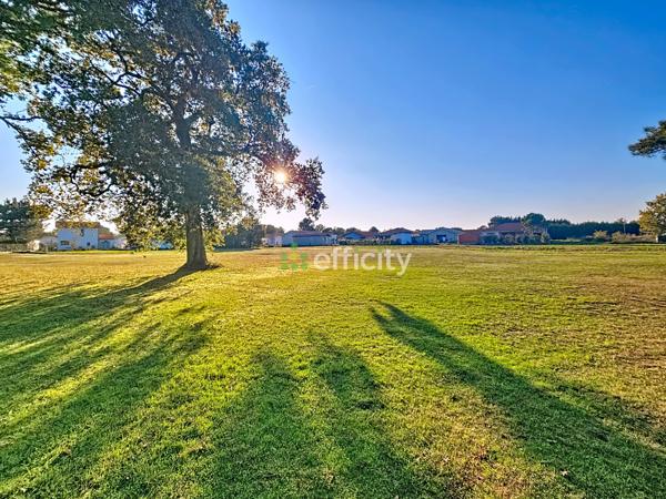 Terrain - 6939 m² Exclusivité efficity