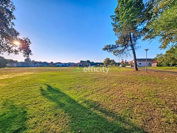 Terrain - 6939 m² Exclusivité efficity