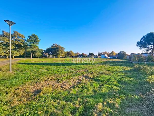 Terrain - 6939 m² Exclusivité efficity