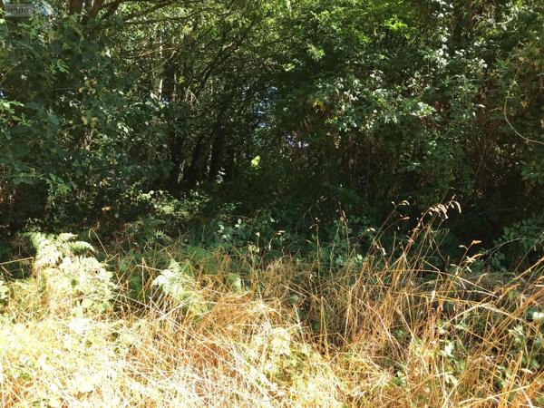 Achat - Terrain de loisirs, bois, étangs | Terrain de loisirs - Bois - Etangs Bonnétable 72110 4275 m 2