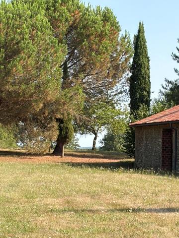 PLAISANCE DU GERS(32): élégante PROPRIETE DE CHARME et de CARACTERE XVIII-XIXs, 3,5hectares, près de Plaisance et Marciac, SANS TRAVAUX, sans vis à vis, au calme , VUE sur les coteaux, piscine