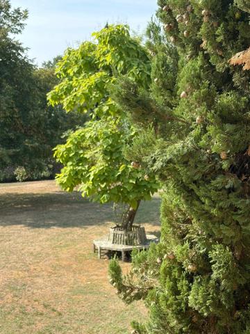 PLAISANCE DU GERS(32): élégante PROPRIETE DE CHARME et de CARACTERE XVIII-XIXs, 3,5hectares, près de Plaisance et Marciac, SANS TRAVAUX, sans vis à vis, au calme , VUE sur les coteaux, piscine