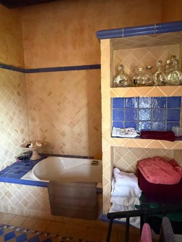 PLAISANCE DU GERS(32): élégante PROPRIETE DE CHARME et de CARACTERE XVIII-XIXs, 3,5hectares, près de Plaisance et Marciac, SANS TRAVAUX, sans vis à vis, au calme , VUE sur les coteaux, piscine