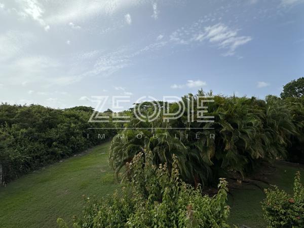 Saint-François (97118) Exclusivite ZEOPIE Immobilier : appartement type 2 avec terrasse et parking.