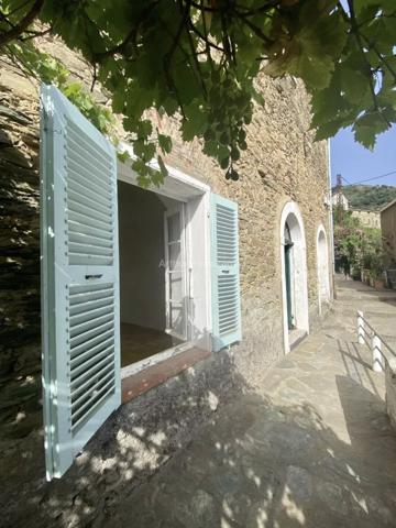 Vente Maison 7 pièces 156 m2 à Oletta