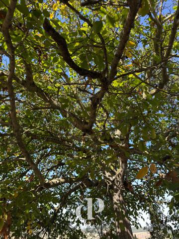 Lachapelle (82120) Charmante maison de vacances en pierre avec vue imprenable