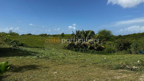 Vente
                Terrain779 m² - SAINTE ANNE (97180)