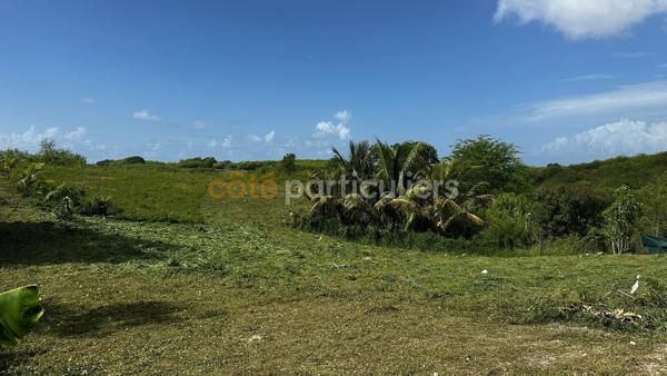 Vente
                Terrain779 m² - SAINTE ANNE (97180)