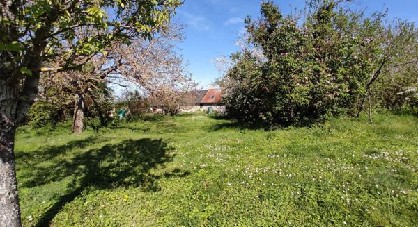 Maison 3 pièces à vendre Colombiers - 86490 / Réf: 11749