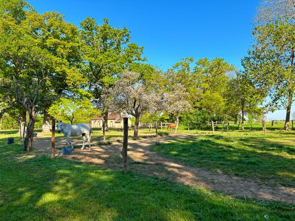 Propriété équestre de charme – 6 hectares à 1h de Paris