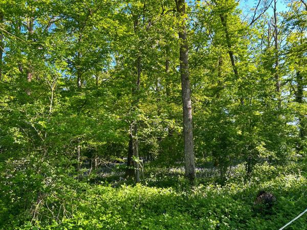 Propriété équestre de charme – 6 hectares à 1h de Paris