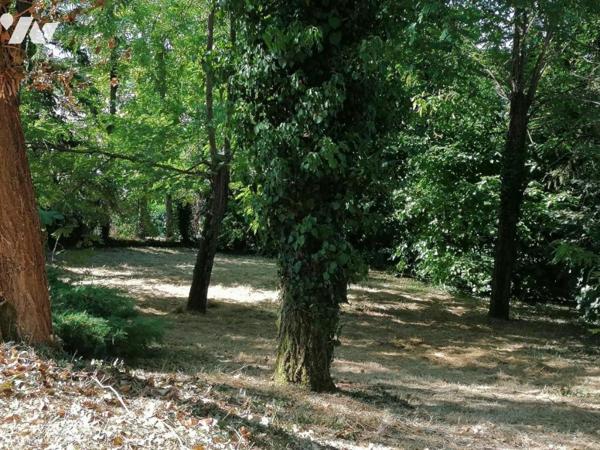 PAVILLON SUR SOUS SOL