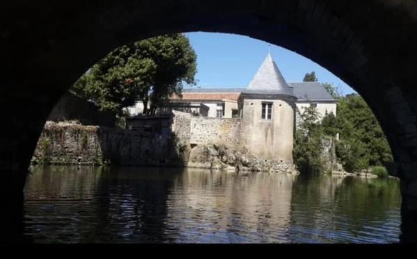 Bien rare et unique: Château à rénover situé sur une île