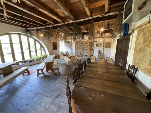 Bien rare et unique: Château à rénover situé sur une île