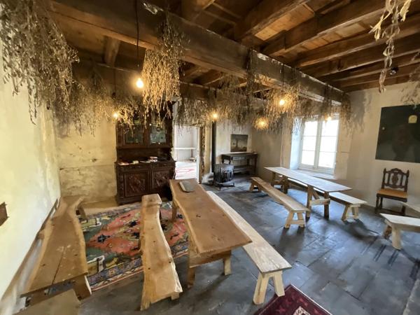 Bien rare et unique: Château à rénover situé sur une île