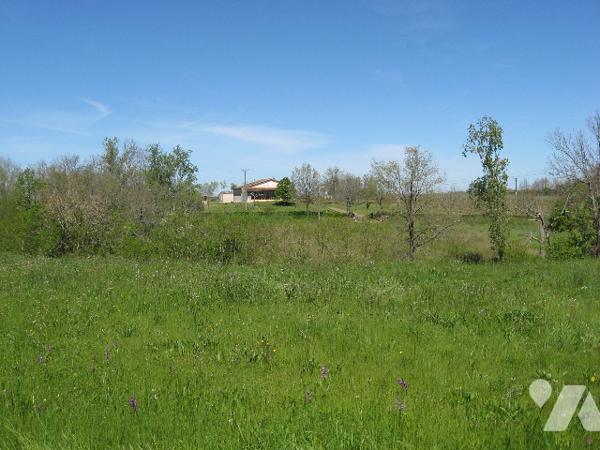 ST SARDOS (82) Au village, beau terrain de 27000 m².