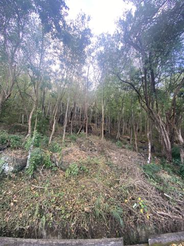 Pointe-Noire (97116) Terrain Vue mer