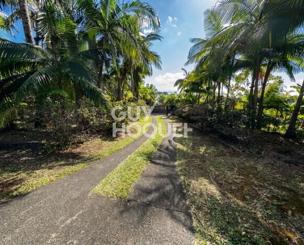 VILLA T6 de 238m² sur terrain de 2896 m² - BDN STE CLOTILDE