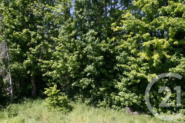 Maison à vendre  6 pièces - 97 m2 MONTGERON - 91