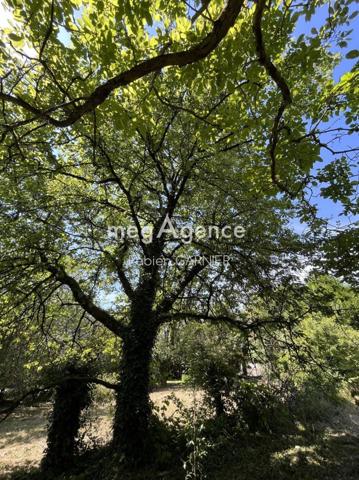 Terrain à MARTIGNE-BRIAND, 49540 - 530m²