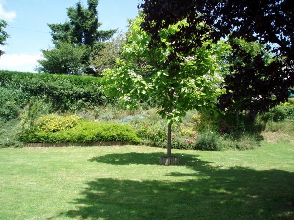 Bâtiment offrant une totale liberté