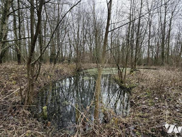 ✨étang à vendre à Mametz - Baisse de Prix de 38 000 € HNI à 31 500 € HNI ✨