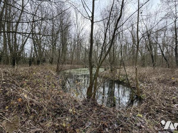 ✨étang à vendre à Mametz - Baisse de Prix de 38 000 € HNI à 31 500 € HNI ✨