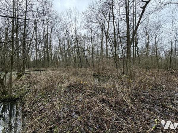 ✨étang à vendre à Mametz - Baisse de Prix de 38 000 € HNI à 31 500 € HNI ✨
