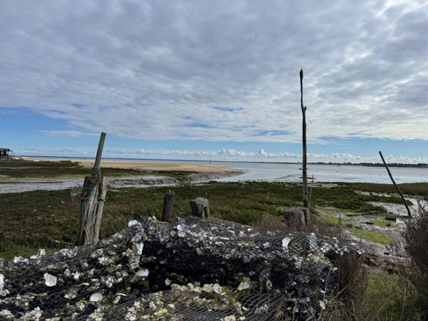 Appartement 2 pièces - 45 m²