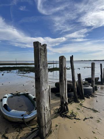 Appartement 2 pièces - 45 m²