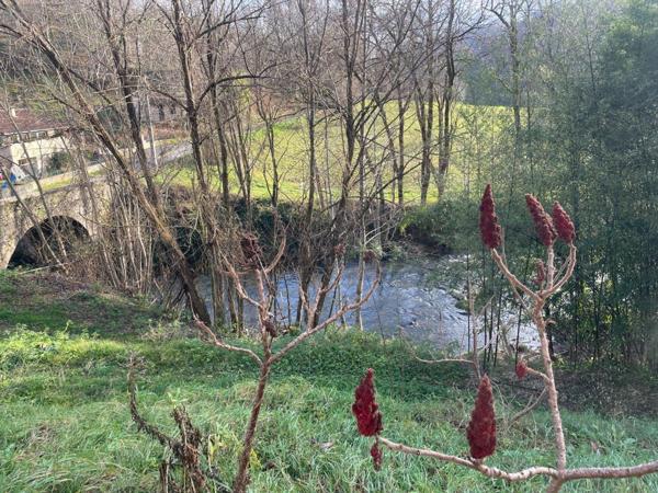 Maison à vendre à Latouille-Lentillac dans le Lot (46400), ref : 25.036