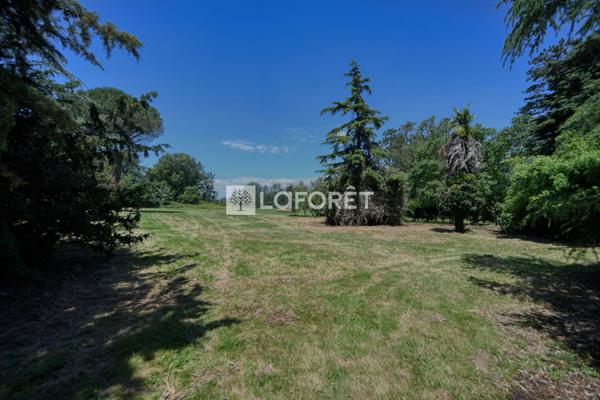 Achat terrain près de PARISOT - 3700 m² - 120 000 €