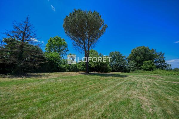Achat terrain près de PARISOT - 3700 m² - 120 000 €