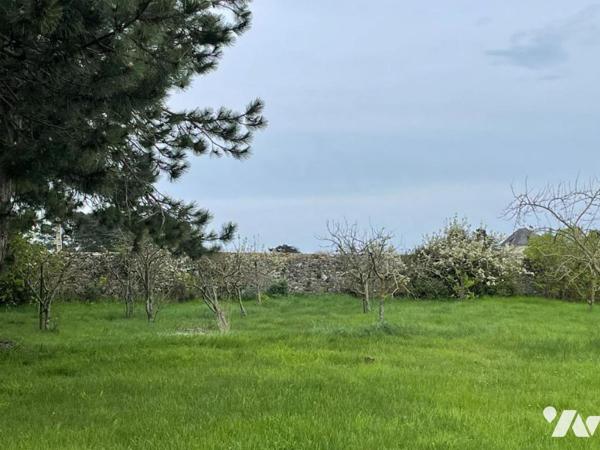 Saint COULOMB, Maison en pierre d'environ 170m² sur terrain de 5000m²