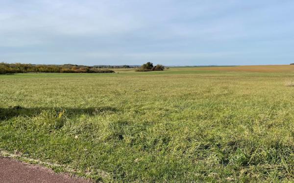 Terrain à vendre    Dommary-Baroncourt