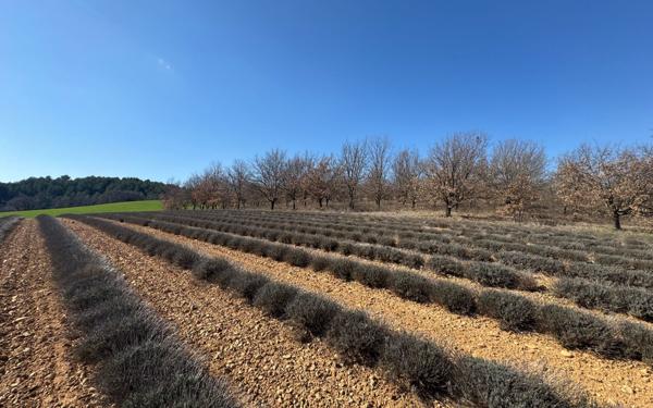 Terrain à vendre    Roumoules
