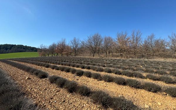 Terrain à vendre    Roumoules