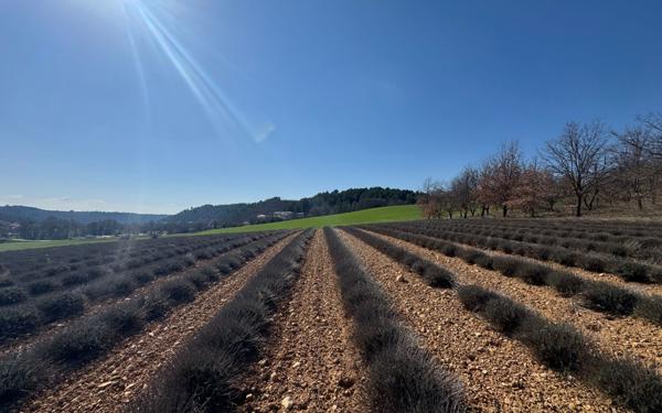 Terrain à vendre    Roumoules