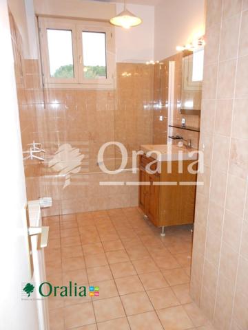 Appartement · Location Caluire Et Cuire (69300) 6 pièces · 147m²
