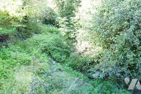 A vendre à Ambrières les vallées(53), proche du centre-ville avec accès à la varenne, une premi...