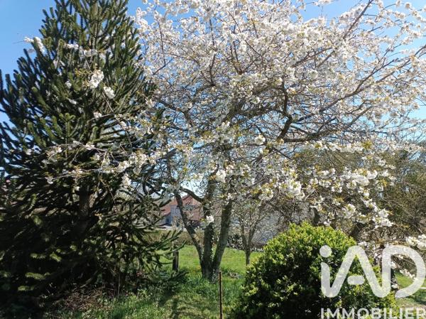 Maison à vendre 9 pièces 220 m² Mérinchal
