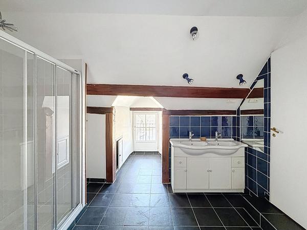 Somptueuse demeure d'exception en coeur de ville de Meaux - 400 m² - 6 chambres et 1 salle de jeux - jardin 1400 m² et 4 garages - 10 places de stationnement et une cave totale de 145 m2